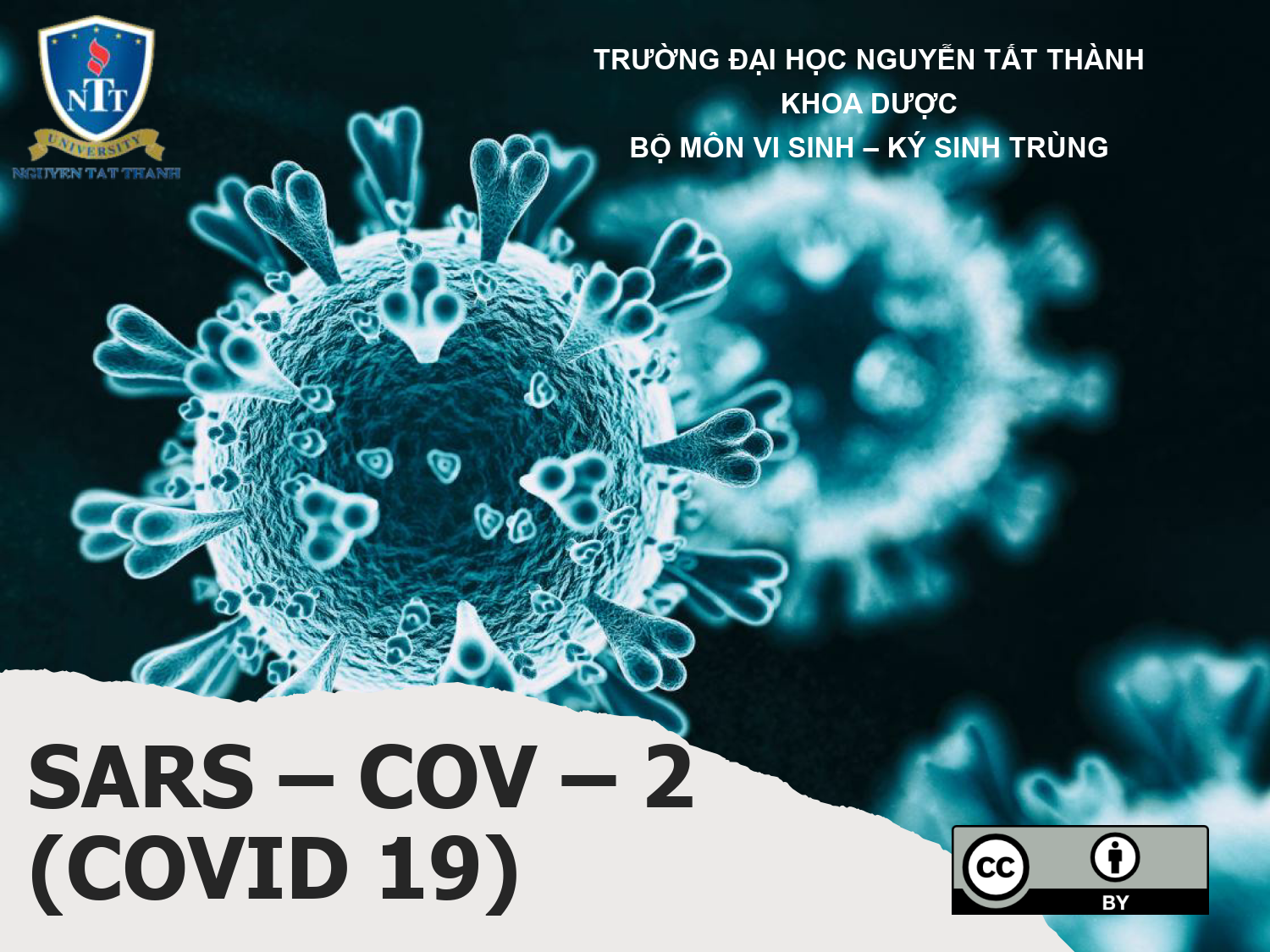 Vi sinh Dược: Bài giảng các virus mới KD_002