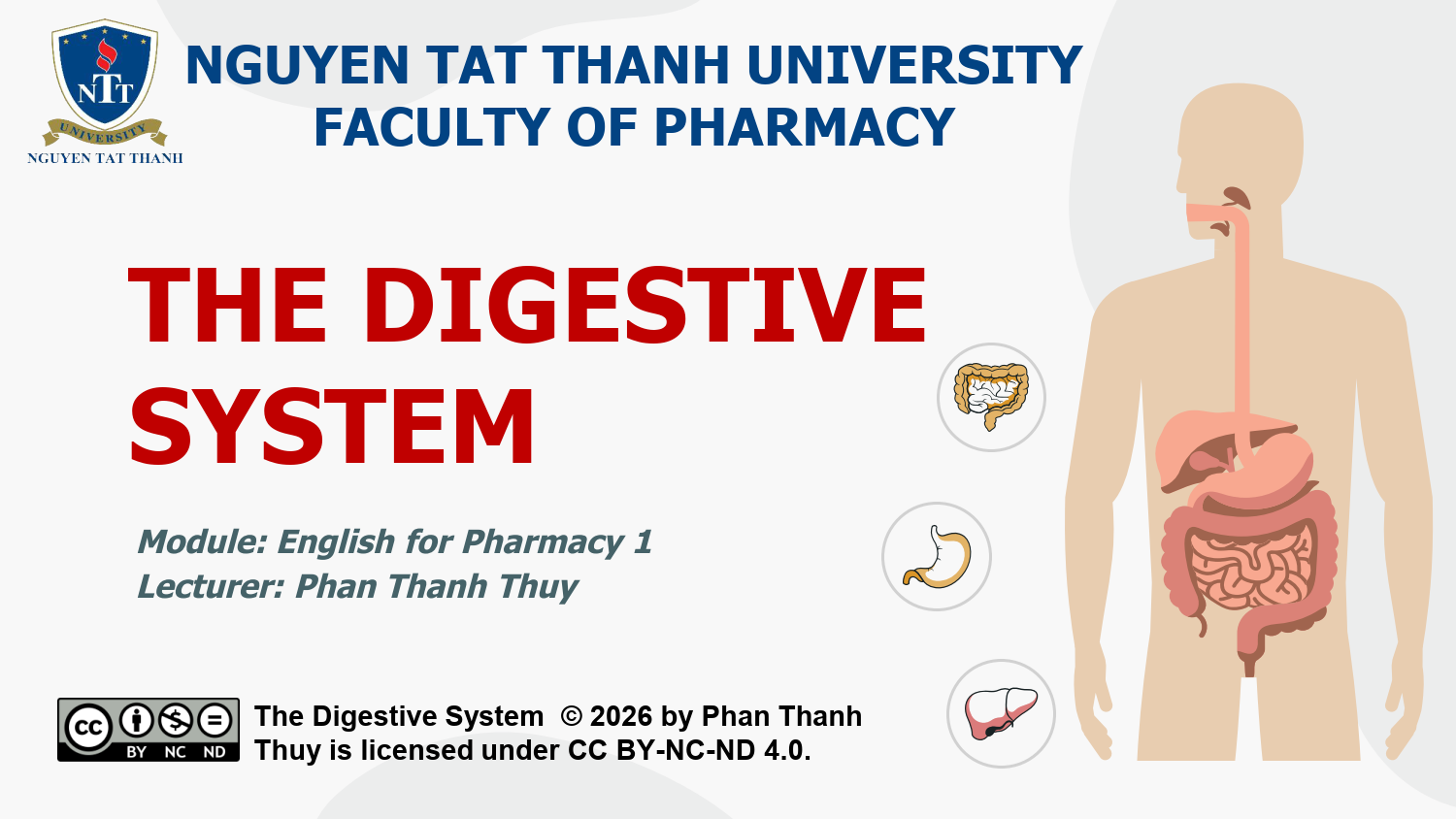 Tiếng Anh Chuyên Ngành 1: The Digestive System KD_005